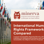 International Human Rights Frameworks (1)