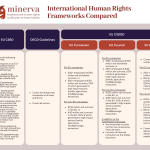 International Human Rights Frameworks (2)