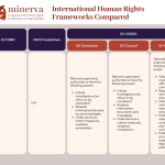 International Human Rights Frameworks (6)